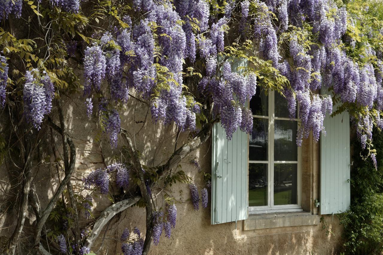 Hostellerie de la Commanderie Condat-sur-Vezere Buitenkant foto